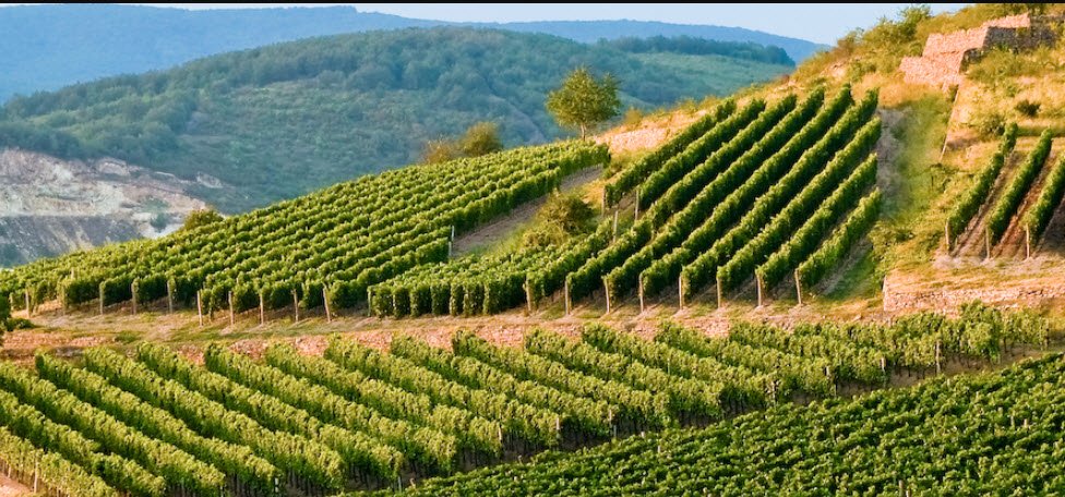 Tokaj, Northeastern Hungary, Hungary